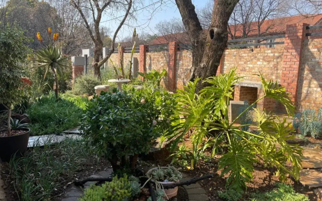 The Chameleon Stay @107
