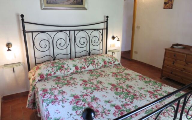 House Ulivo Montescudaio