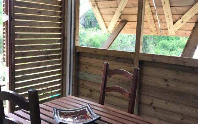 LES ALOÈS By CREYOL ANIMAL