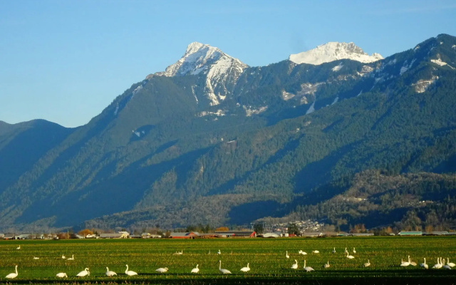 Holiday Inn Express & Suites Chilliwack East by IHG