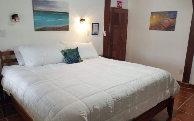 The BNB on Triggerfish Close to the airport