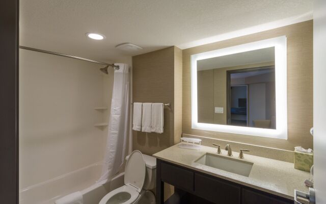 Holiday Inn Express & Suites San Antonio Medical-Six Flags, an IHG Hotel