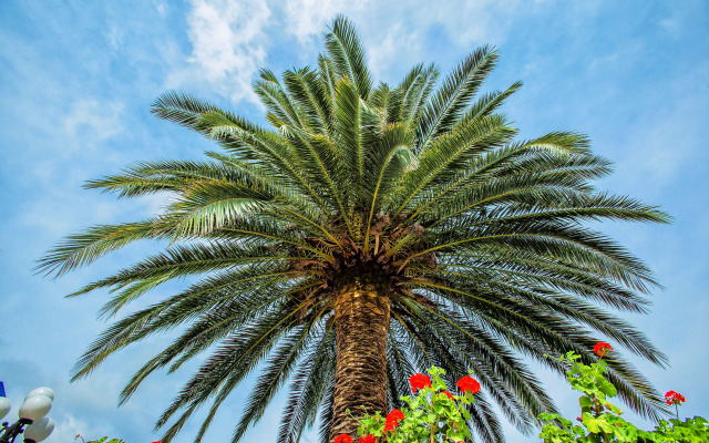 Xenios Port Marina Hotel