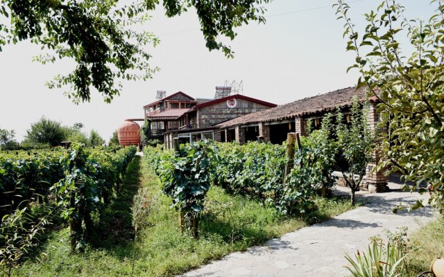 Twins Wine Cellar