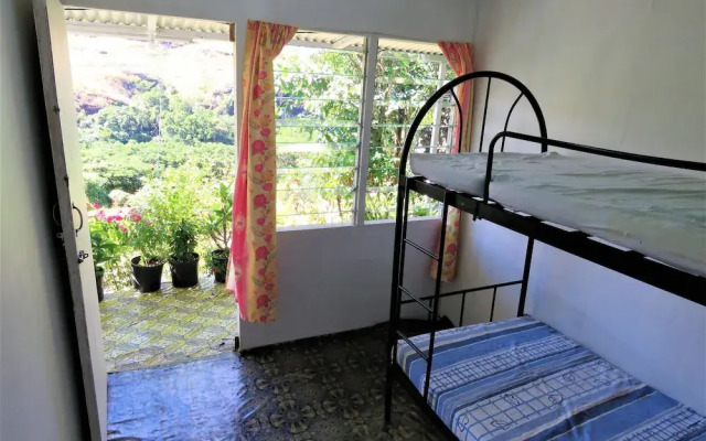 Mountain Oasis Farm Stay