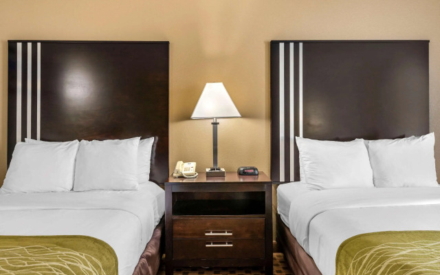 Comfort Inn Indianapolis East