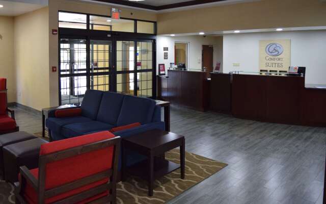 Comfort Suites Olive Branch - Memphis South