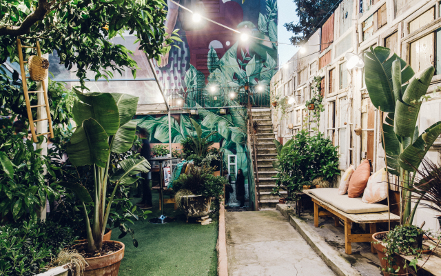 The Indy House