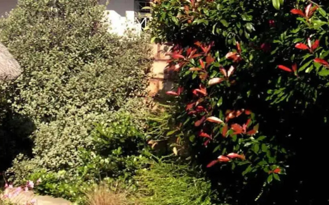 Birch Bush Bed and Breakfast