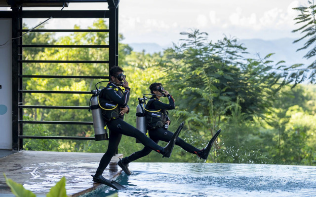 Deep Roots Dive & Yoga Resort