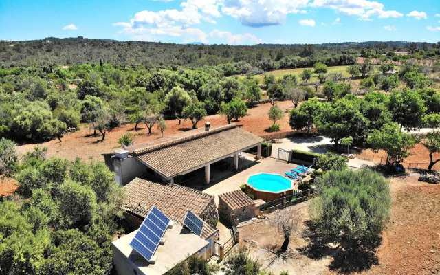 Son Rossignol finca Llubi 193