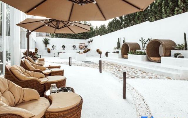 The Koi Fish Designer Homestay