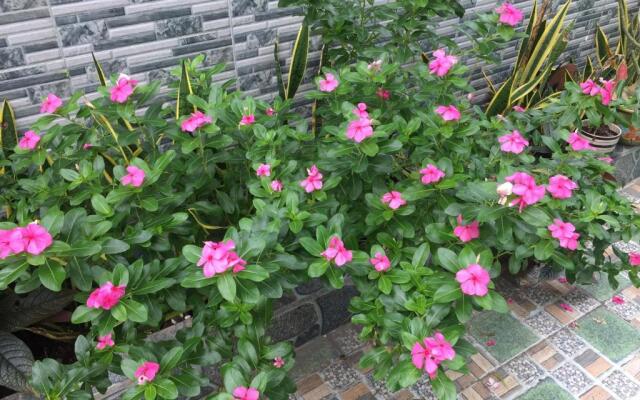 Hòang Hôn Homestay