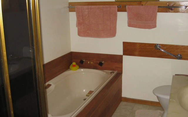 Blueberry B & B