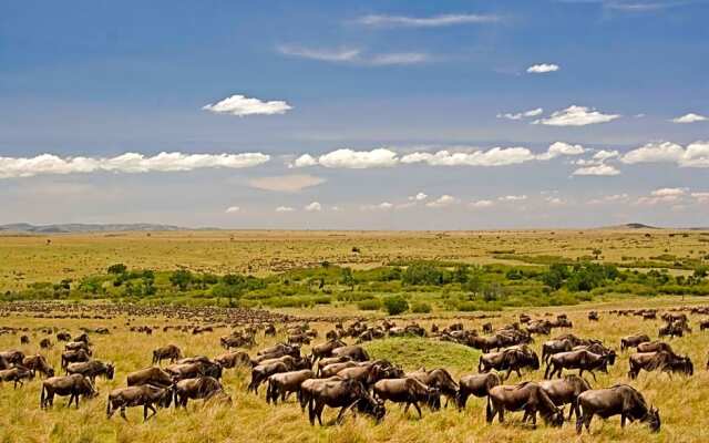 Mara Intrepids Tented Camp