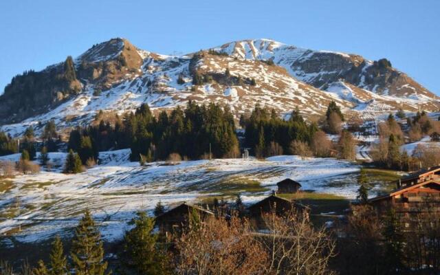 Appartement Le Grand-Bornand, 1 pièce, 4 personnes - FR-1-241-107