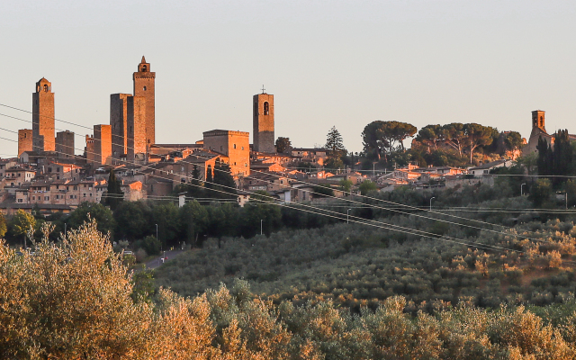 Fattoria Guicciardini