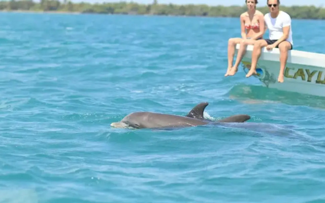 Luxury Penthouse w Private Pool Stunning Views