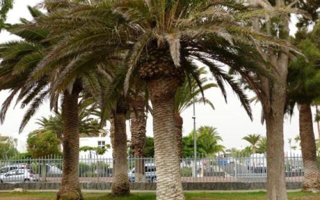 Suncanarias Apartamento Drago 326