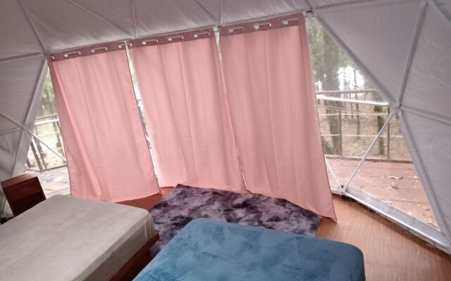 Glamping Don Delfis