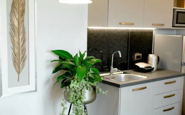 Frunze Luxury Apartments