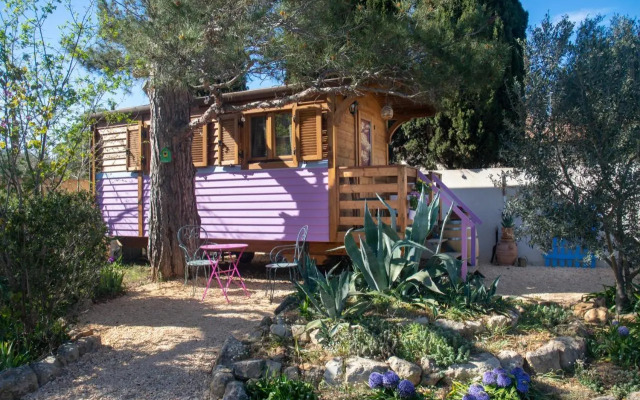 Vintage Provence