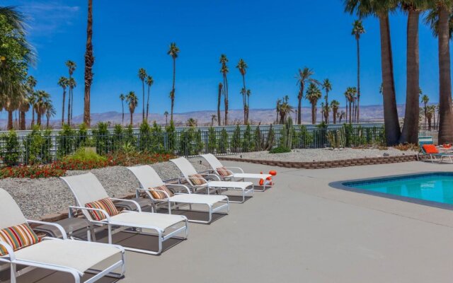 Desert View Paradise