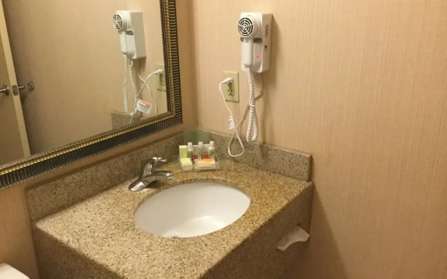 Holiday Inn Dallas Dfw Airport Area West