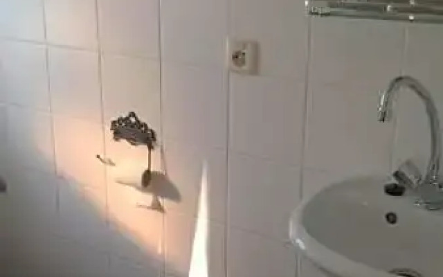 boerderijkamer Zwanebloem