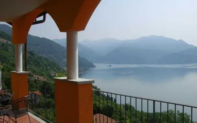 Il Vigneto