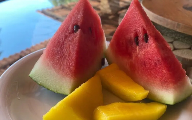 Pousada Paraíso dos Guarás