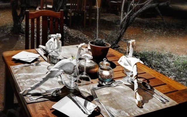 Mara Bush Camp