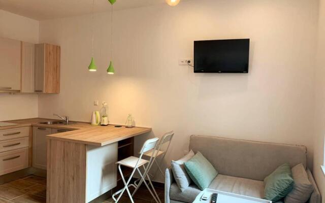 Studio apartment in center of Zagreb "Vidra"