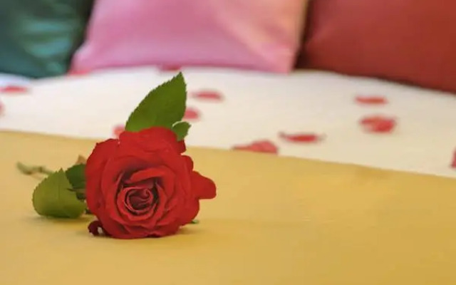 Grove Guest House
