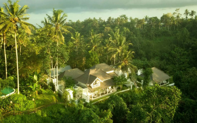 Cloud Nine Estate