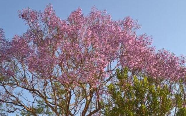 La Jacaranda, locanda con cucina