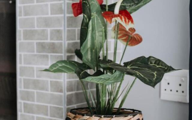 The Living Collective Villa