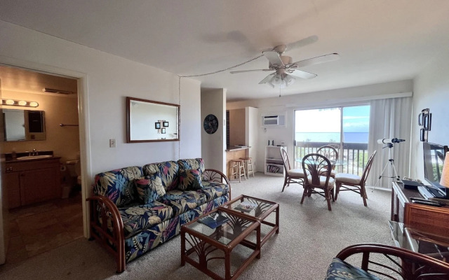 Kona Mansions Ocean Views & Amenities!
