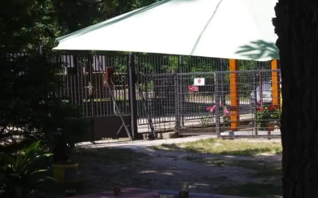 Tölgyfa Panzió