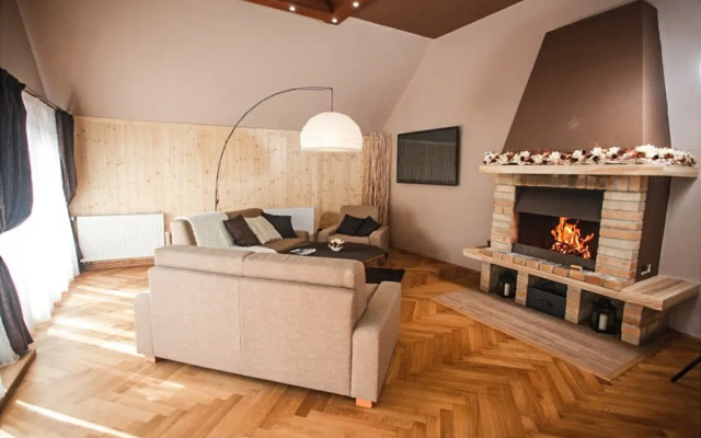 Villa in Moravia With Infrared Sauna