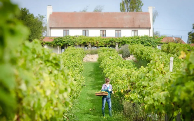 Three Choirs Vineyards