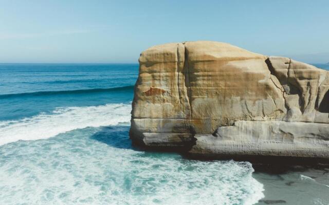 Ebb-Dunedin