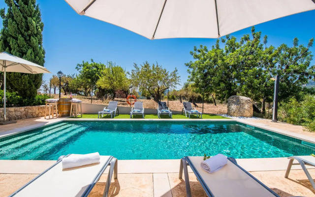 Puig d'en Guardiola ID:74768