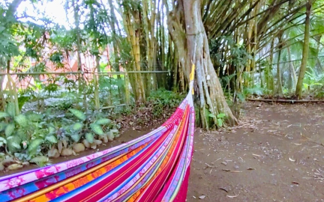 Casa Jungla Hostel