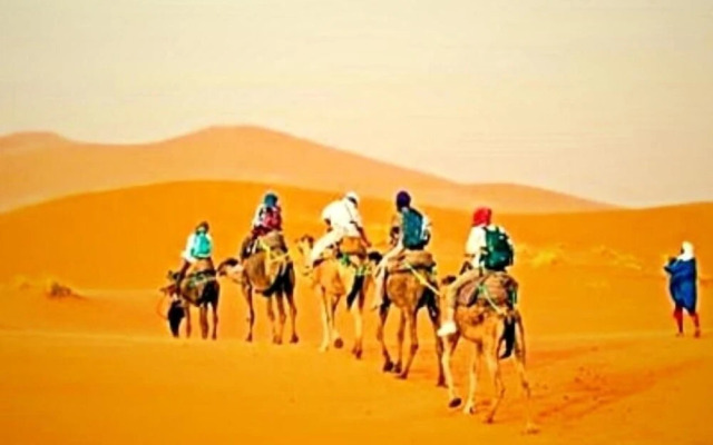 Africa Luxury Camps