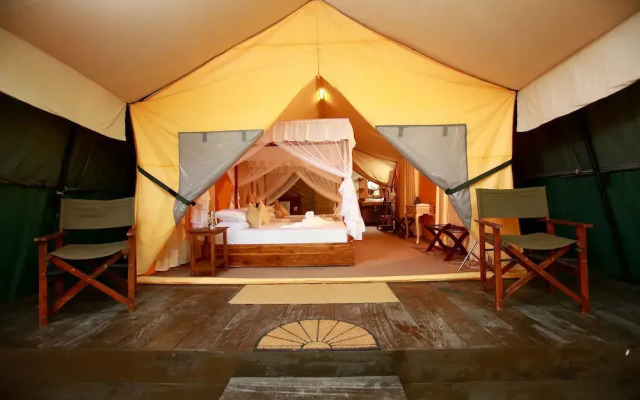 Yala safari and Relax camping