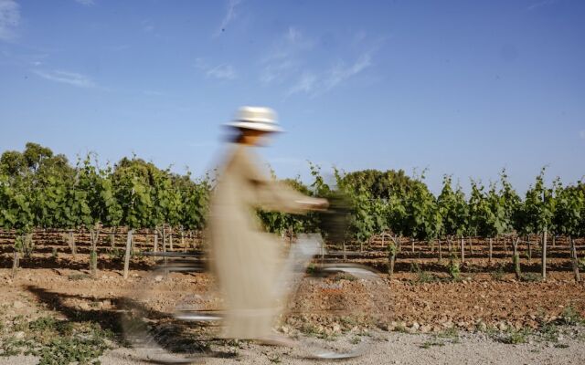 Finca Gomera, Luxury Country House