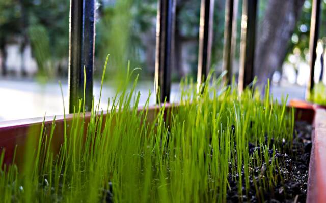 Day & Night — хостел