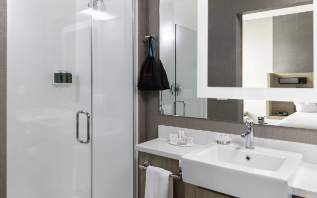 SpringHill Suites by Marriott Suwanee Johns Creek