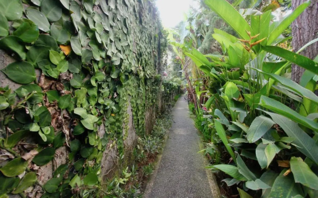 Rahayu House Ubud By Zuzu